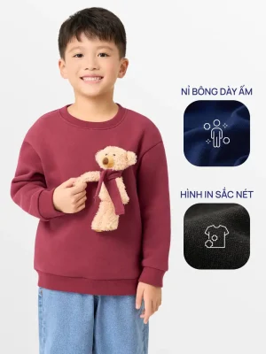 Áo Nỉ Gấu Trẻ Em